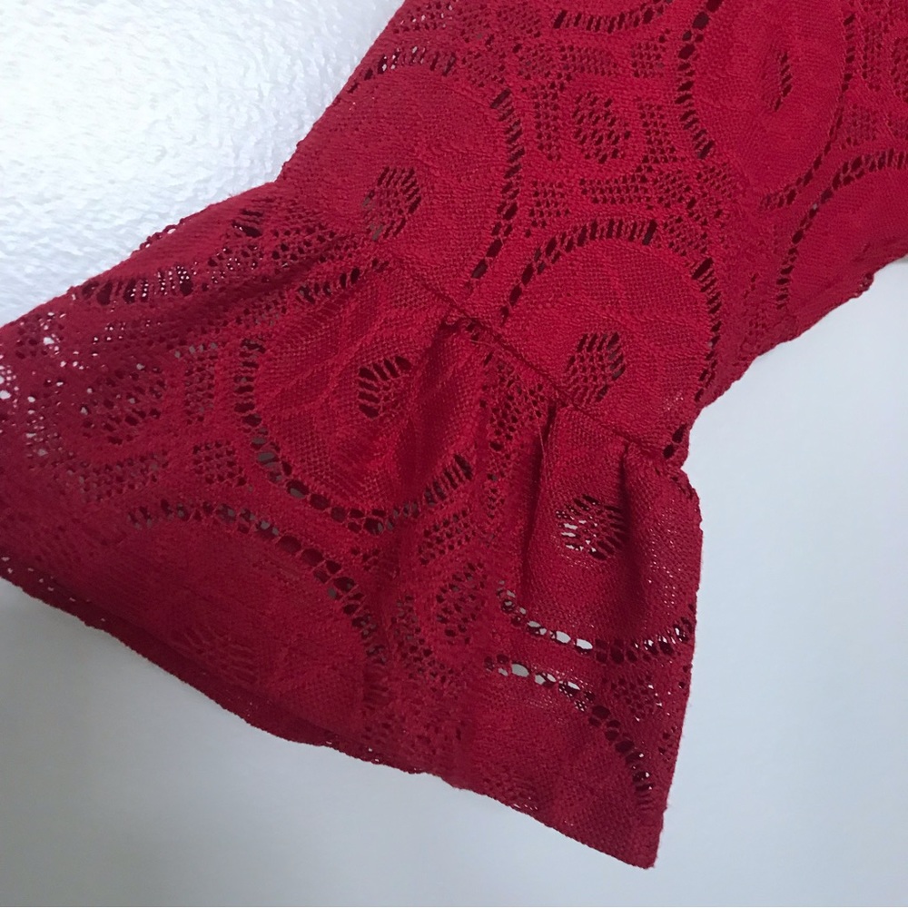 Rabbit Rabbit Rabbit Spice Lace Sheath Dress - Picture 3 of 10